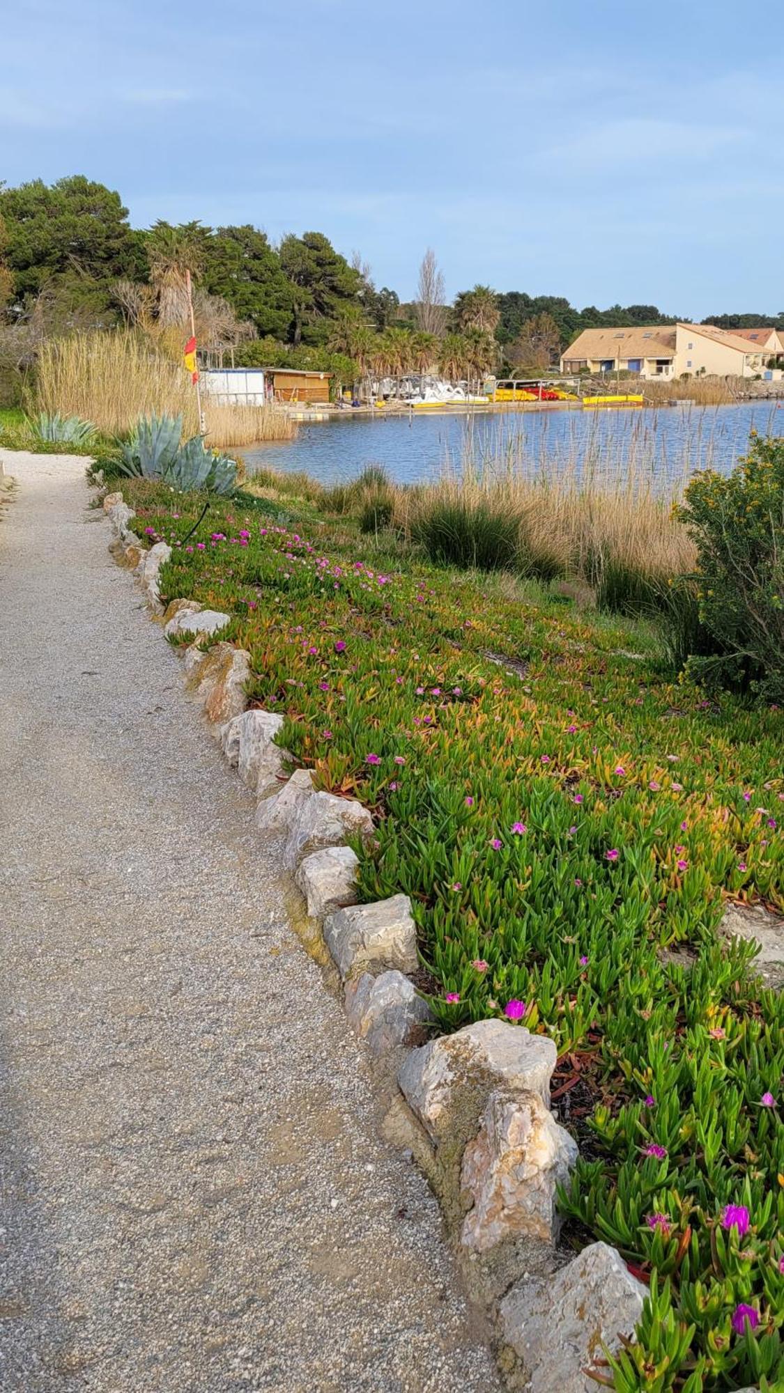 Maisonnette Au Bord De L Etang Holiday home